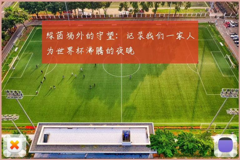 绿茵场外的守望：记录我们一家人为世界杯沸腾的夜晚