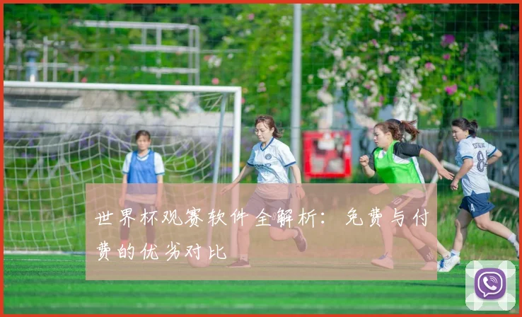世界杯观赛软件全解析：免费与付费的优劣对比