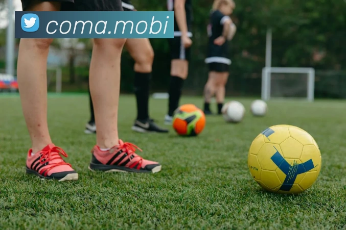 爱体育电子官方网站平台生态图