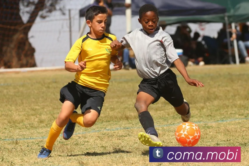 爱体育电子官方网站APP 封面图